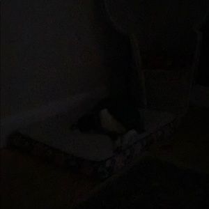 Meet your Posher, Tabatha